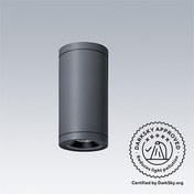 Cesar Amp Ceiling — CESAR AMP S CEI 1L927WB RD ANT