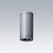 Cesar Amp Ceiling — CESAR AMP S CEI 1L930WB RD GY